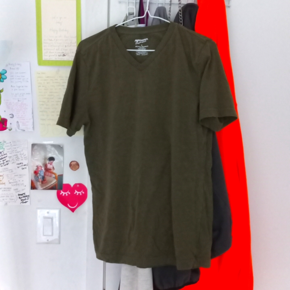 Olive Arizona Jeans V Neck T-Shirt